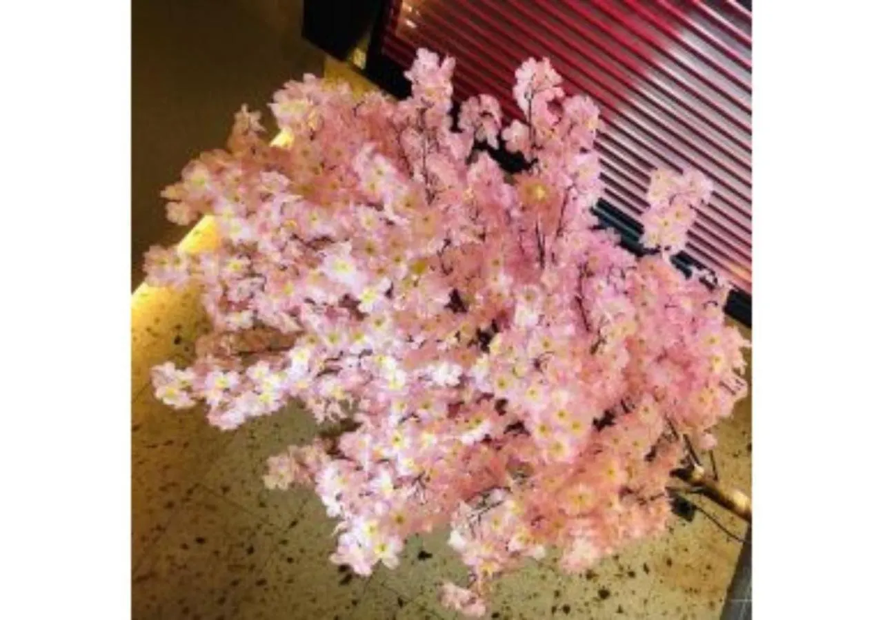 Sakura Sky Hotel - Vacation Stay 18444V Tokyo